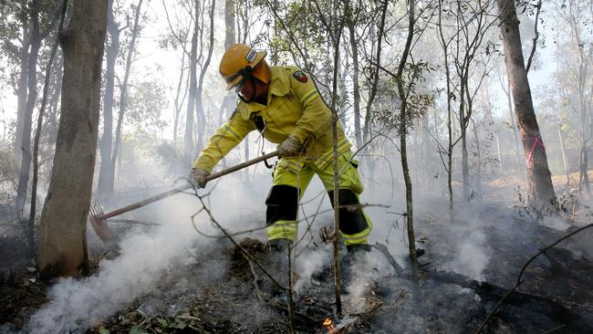 A firefighter conducts a hazard reduction burn of bushland.