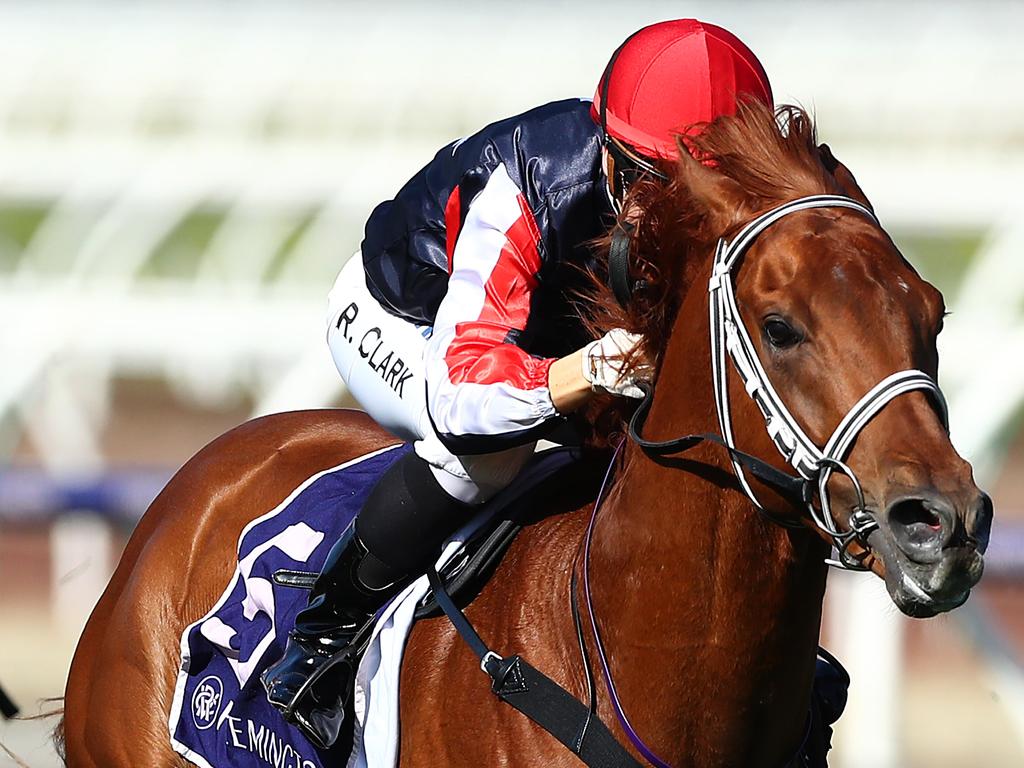 Dalasan is the Caulfield Guineas favourite. Picture: Getty Images