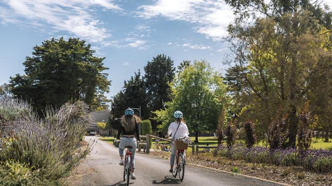 Clare Valley Riesling Trail. Picture: Harry Vick