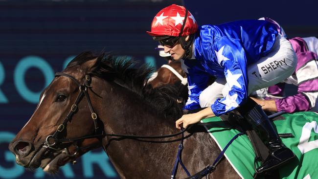Tom Sherry has a strong book of rides at Hawkesbury. Picture: Getty Images