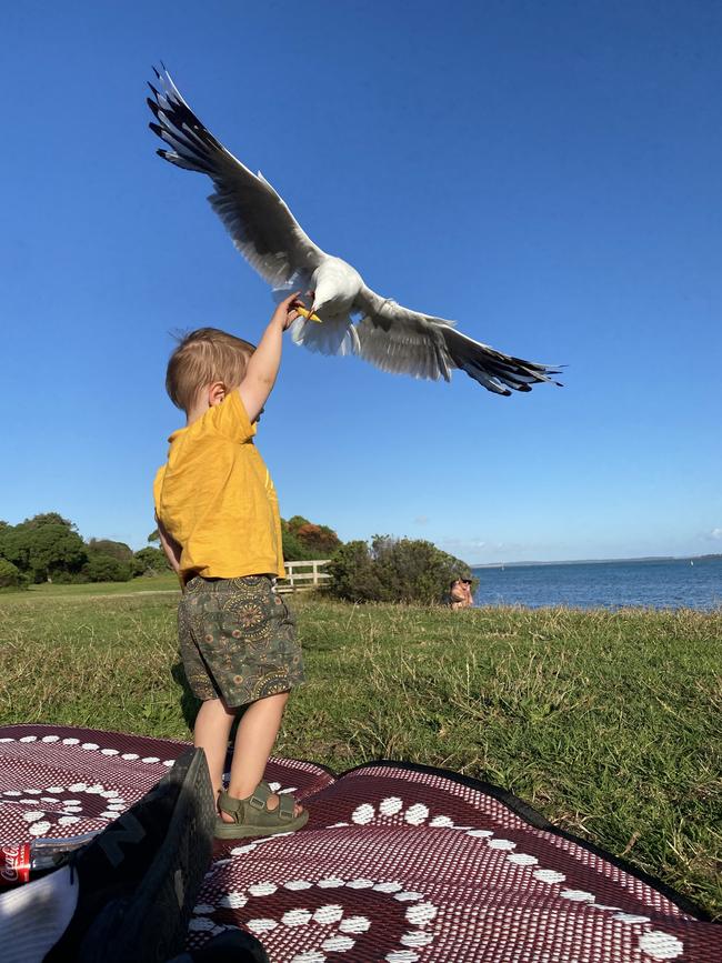 Enjoying the seagulls at Inverloch. Picture: Ashleigh Jordan