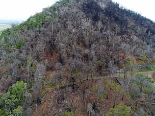 Fire damage on Mt Etna is more complex than it appears. Picture: Allan Reinikka ROK210119amtetna2