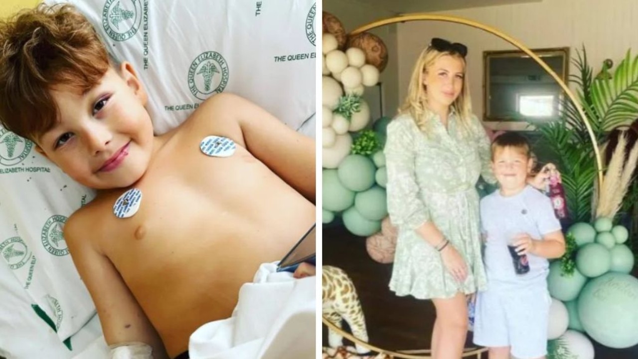 Ace has been declared brain dead after suffering a seizure. Pictures: Facebook; Supplied / The Sun