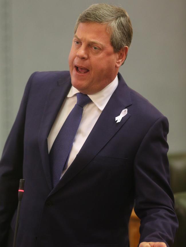 Leader of the Opposition Tim Nicholls. Picture: Jono Searle.