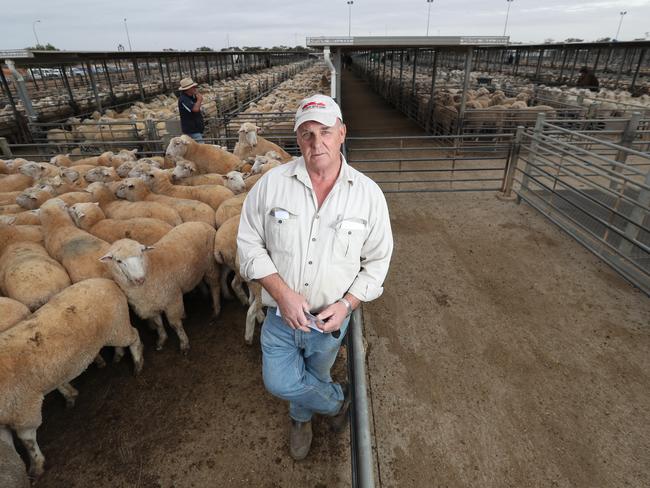 24.3.2020.Catching up on all that's happening on the bush telegraph at the local livestock saleyards has been put on hold, with only key people such as agents, buyers and carriers asked to attend due to coronavirus. Dublin saleyard manager Andrew Lepley said the general consensus was that saleyards needed to stay active as they are an essential food supply component. PIC TAIT SCHMAAL.