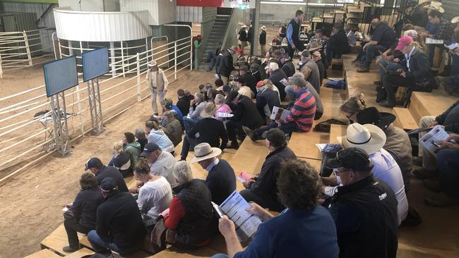 The crowd at today’s Hereford national sale. Picture: Fiona Myers