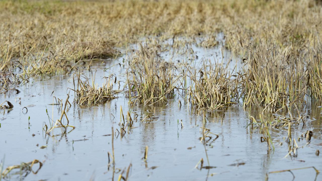 Victorian Rainfall Floods Smash Rainfall Records Bom Data Reveals