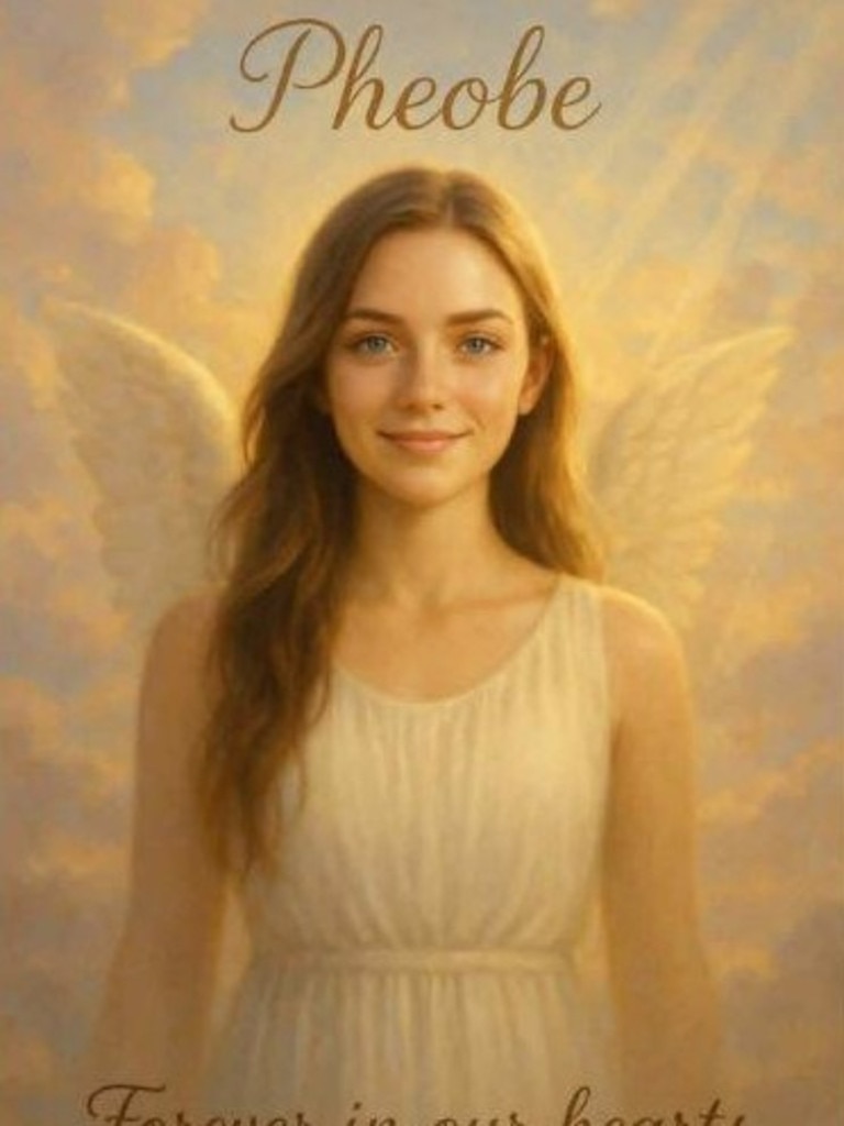 A digital drawing made in memory of allegedly murdered teenager, Pheobe Bishop. Photo: Facebook