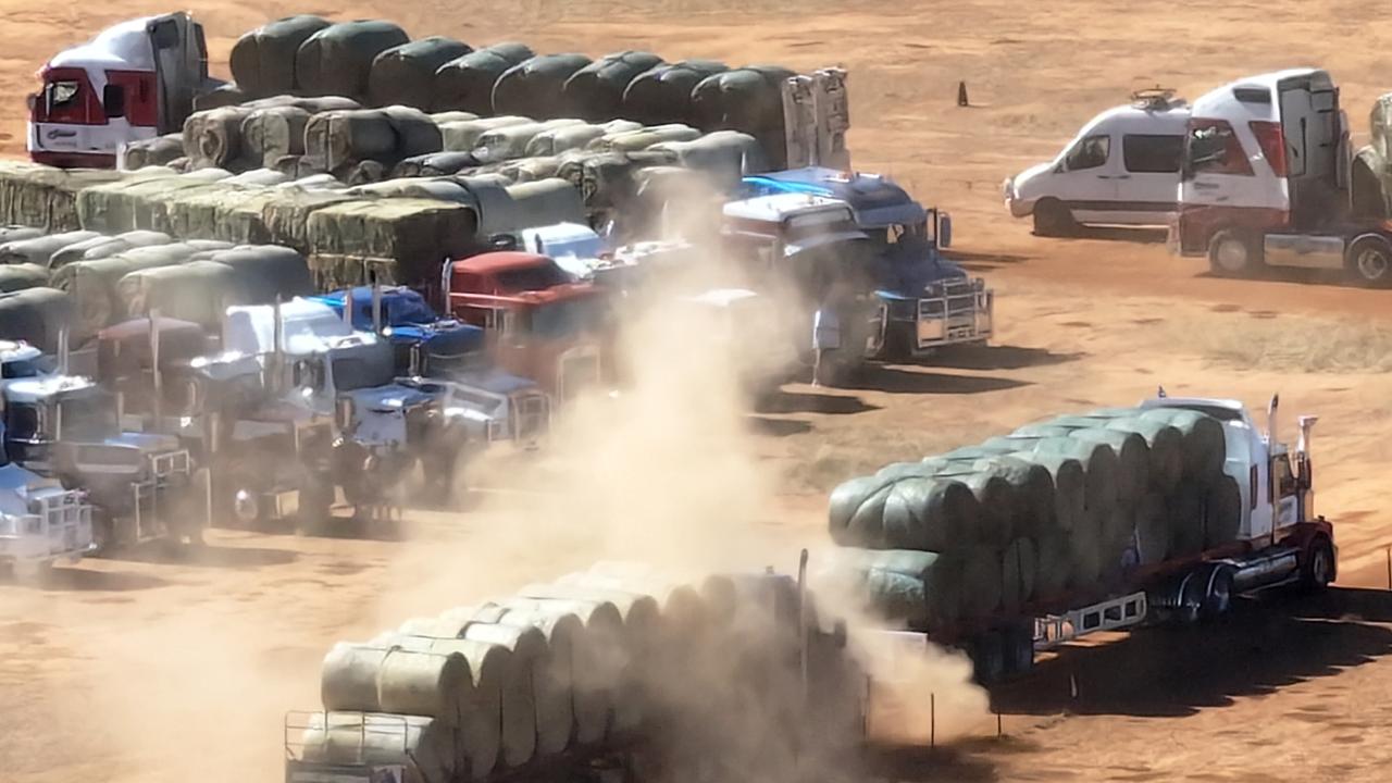 Aussie Hay Runners and other charities deliver 100 truckloads of donated hay to drought-stricken farmers across South Australia. Picture: Chris Woodman