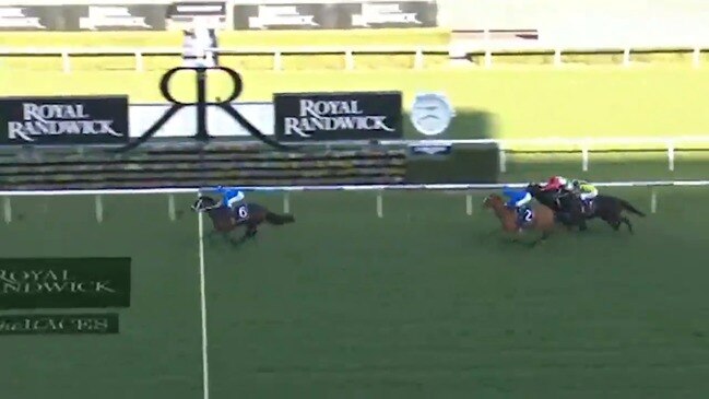 Winx smashes her rivals in the 2016 Warwick Stakes