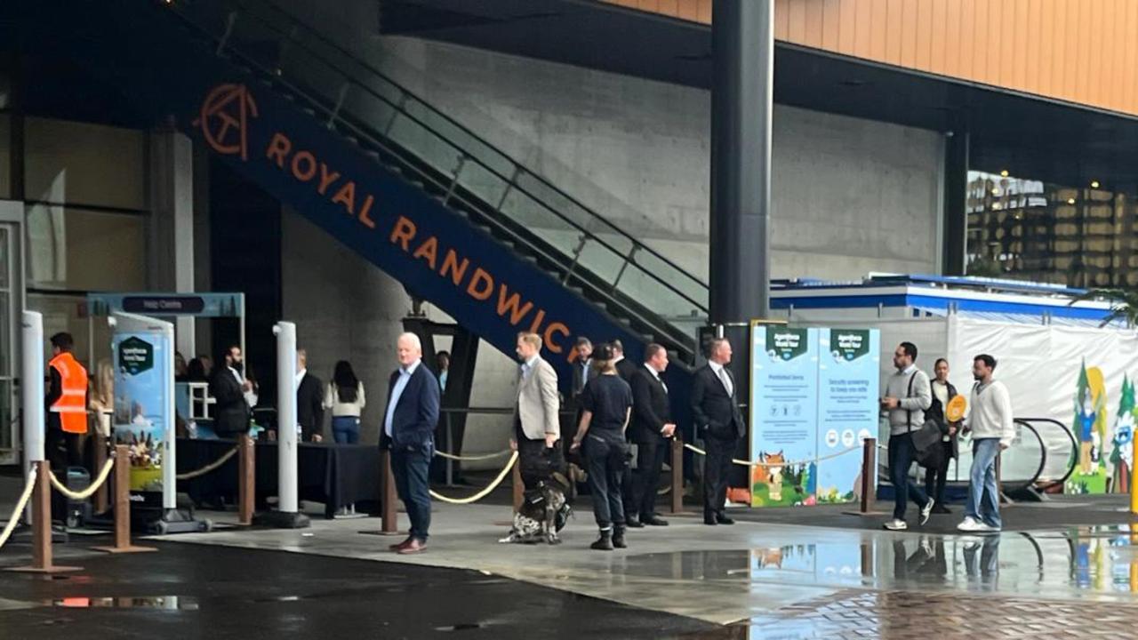 Sniffer dogs have been spotted at Royal Randwick Racecourse ahead of a possible visit by King Charles on the weekend. Picture: Supplied