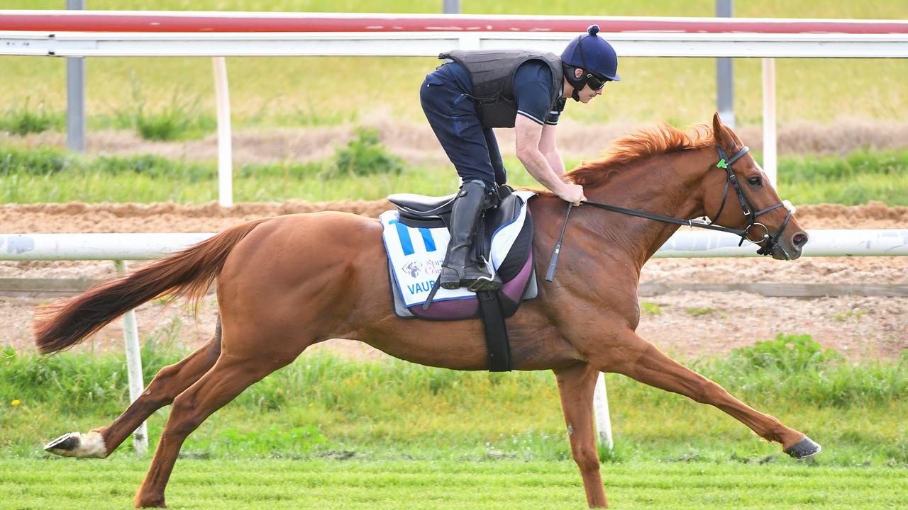 Dave Casey riding Vauban during trackwork at Werribee as he prepares for next month’s Melbourne Cup. Picture: Racing Photos via Getty Images