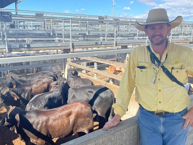 Gary Wendt from Ray White Rural Gracemere with a pen of DP and KC, Dululu, Brangus No.1 steers