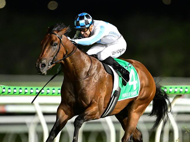 Ash Morgan wins the Magic Millions Sunlight aboard Private Harry for trainer Nathan Doyle. Picture: Grant Peters - Trackside Photography