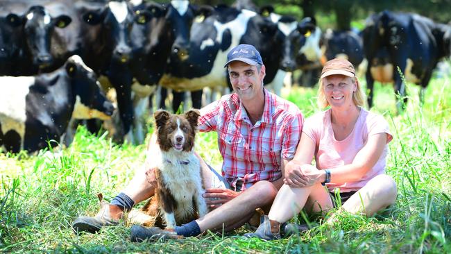 Grass act: Scott and Belinda McKillop, with Rosie the Border Collie, are looking outside the square to lift farm profits. 