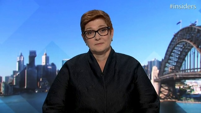 Marise Payne on Turnbull's electronic book leak: 'Received and deleted' (Insiders)