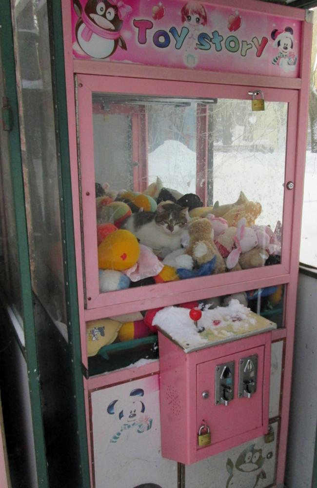 Stuffed Animals in Toy Crane Machine, Tokyo, Japan - Stock Photo