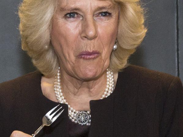 London 26/01/2015. Camilla, The Duchess of Cornwall attends a reception in celebration of Australia's People, Produce and Place to mark Australia Day. Masterchef runner up Lynton Tapp cooks some Australian dishes. Australian High Commissioner Alexander Downer (right). Picture: Ella Pellegrini