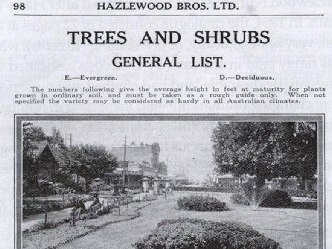 A Hazelwood Nursery catalogue from 1929.