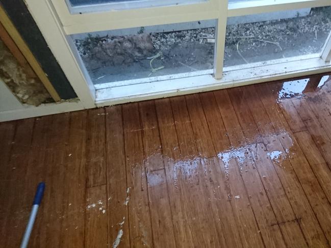 A building inspector’s report revealed damage, including to the ceiling and walls. Picture: Supplied