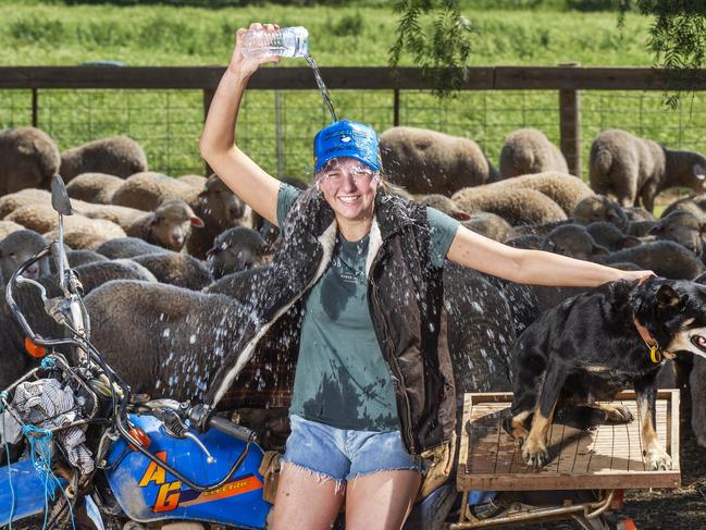 Mackenzie Punton cools down after rounding up sheep on her family farm at Shelbourne in Central Victoria.Picture:Rob Leeson.