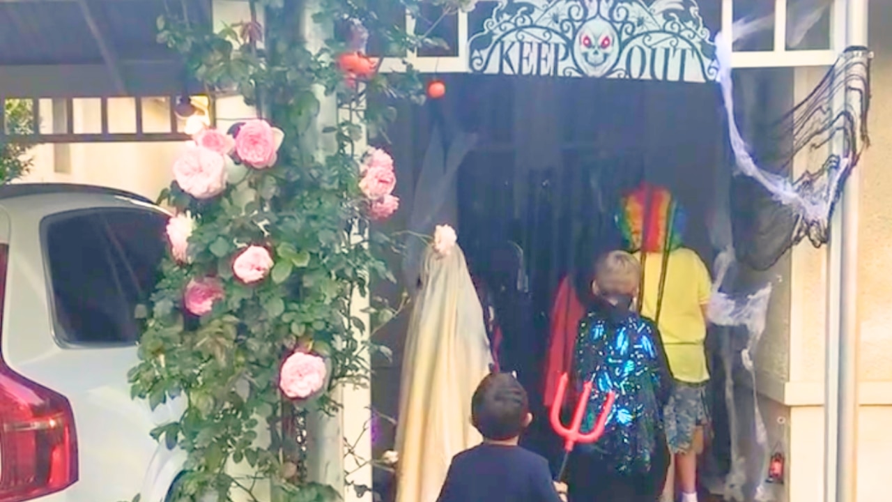 Kids Trick or Treating in Adelaide. Image: Supplied