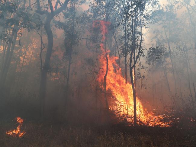 Firefighters battle bushfires in Busbys Flat, northern NSW, Wednesday, October 9, 2019. (AAP Image/Jason O'Brien)