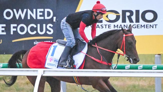 Romantic Warrior at Werribee on Wednesday morning.