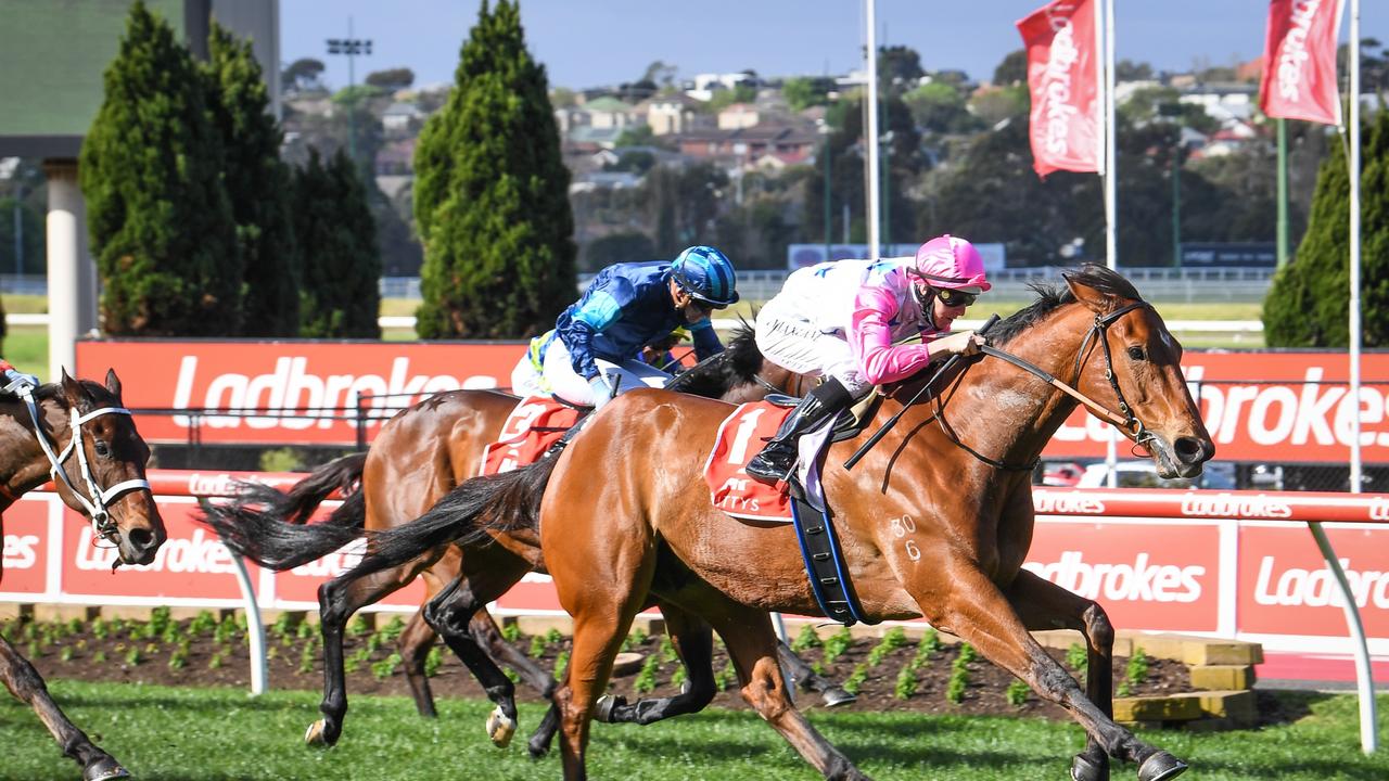 Moir Stakes Golden Rose Can Shape The Everest Slot Holder Race News Com Au Australia S Leading News Site