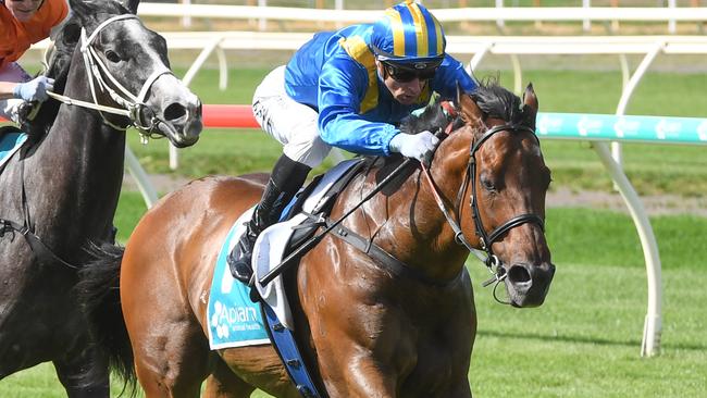 Big Me ridden by Blake Shinn wins the DeAraugo & Lea Electrical Handicap at Bendigo Racecourse on December 03, 2024 in Bendigo, Australia. (Photo by Brett Holburt/Racing Photos)