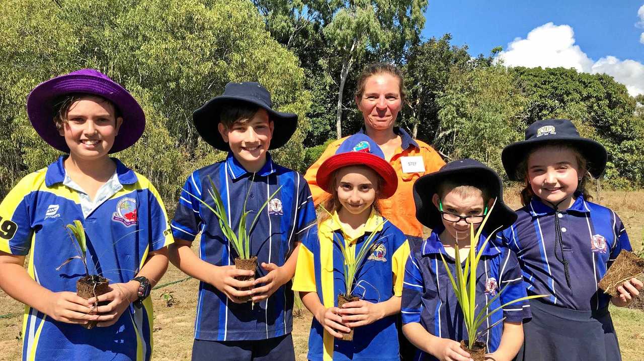 WATCH: Huge effort to plant 4600 trees at Mackay beach | Townsville ...