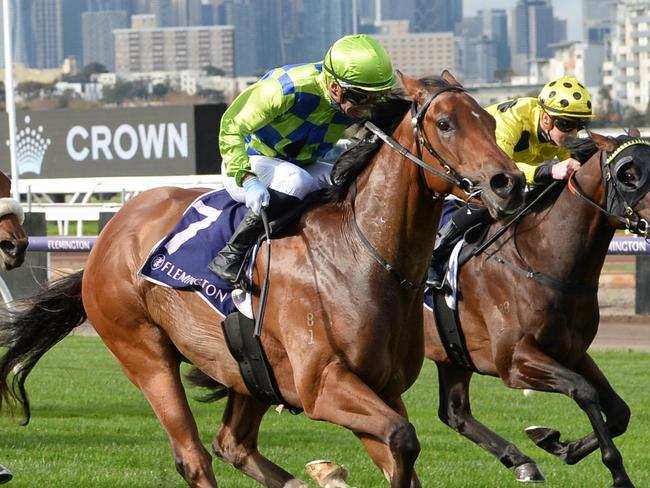 Wonder Boy ridden by Luke Currie wins the RDA Peninsula Jenny Stidston Sprint at Flemington Racecourse on June 08, 2024 in Flemington, Australia. (Photo by Ross Holburt/Racing Photos)