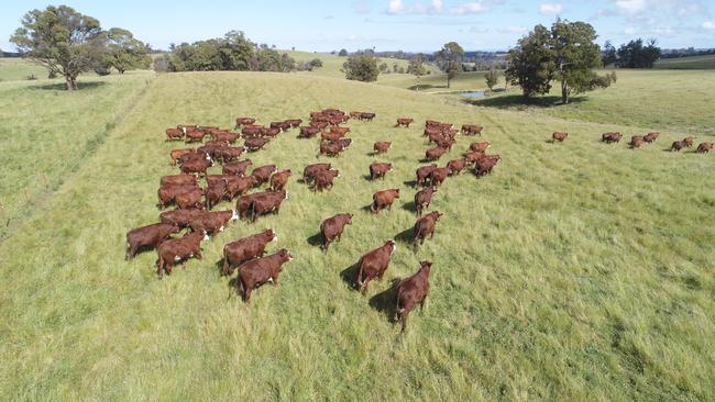 The first farm was purchased by the Upton family in 1962.