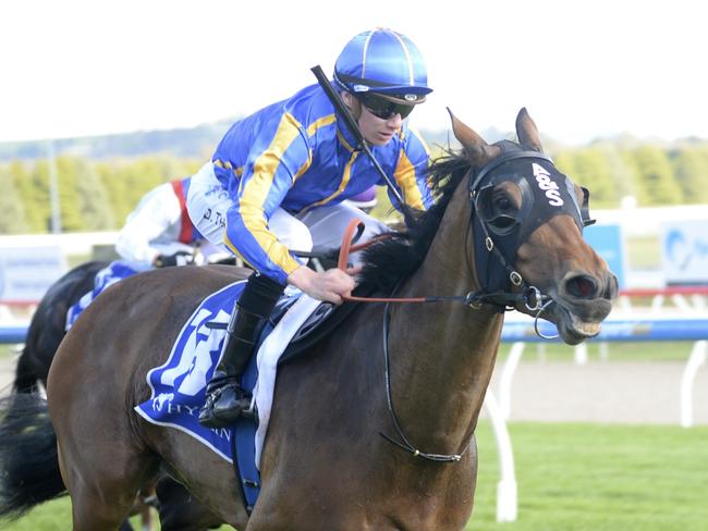 Perfect World ridden by Damien Thornton wins the Hygain Winners Choice BM64 Handicap at Sportsbet-Ballarat Racecourse on November 01, 2021 in Ballarat, Australia. (Ross Holburt/Racing Photos via Getty Images)