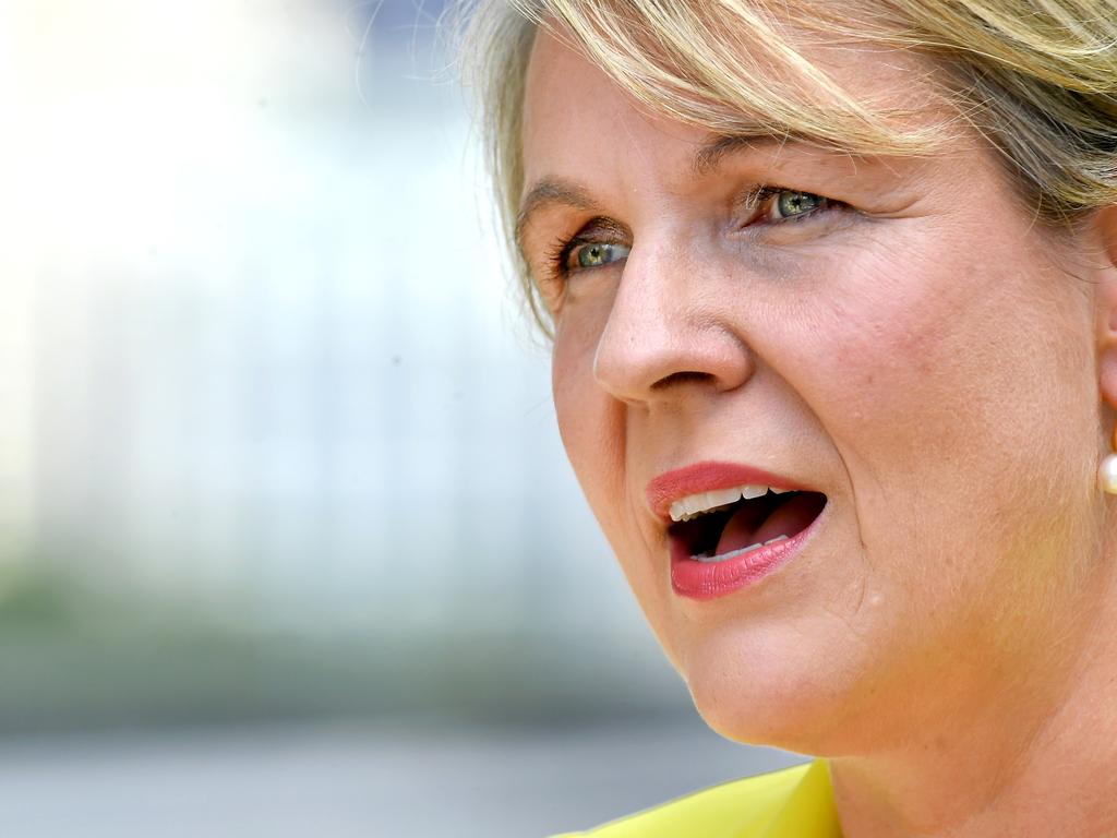 Environment Minister Tanya Plibersek will discuss the State of the Environment report during an address at the National Press Club on Tuesday. Picture: NCA NewsWire / John Gass