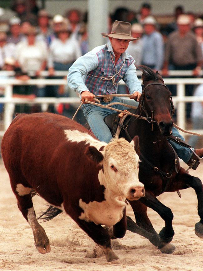 Warwick Rodeo campdrafting gold cup final winner Ben Hall.