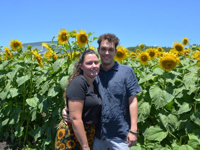 Lilyvale Flower Farm's impressive sunflower crop saw dozens flock to the sunny fields, including (from left) Olivia and Dominic on Sunday, December 22, 2024. Photo: Jessica Klein