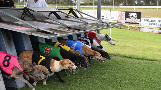 The days of Bundaberg’s trouble-plagued greyhound “death track” are no more with the state government stepping in to ensure the multimillion-dollar industry gets back on its feet.