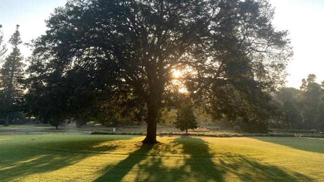 Royal Botanic Gardens. Picture: Scott Jones/Royal Botanic Garden Sydney