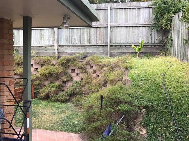 People are being challenged to find the snake hidden in this photo. Picture: Facebook/Sunshine Coast Snake Catchers