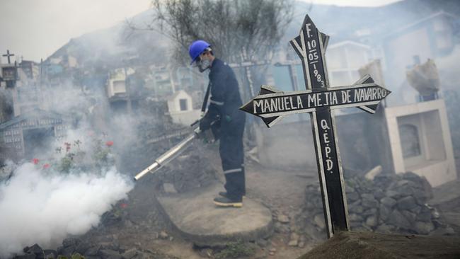A specialist fumigates the Nueva Esperanza graveyard in the outskirts of Lima to prevent the spread of the Chikunguya and Zika virus, which affect several South American countries. Picture: AFP/Ernesto Benavides