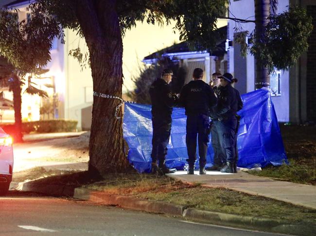 Police at the scene where Rita Camilleria was allegedly murdered. Her head was found on the footpath outside the house. Picture Steve Tyson / TNV