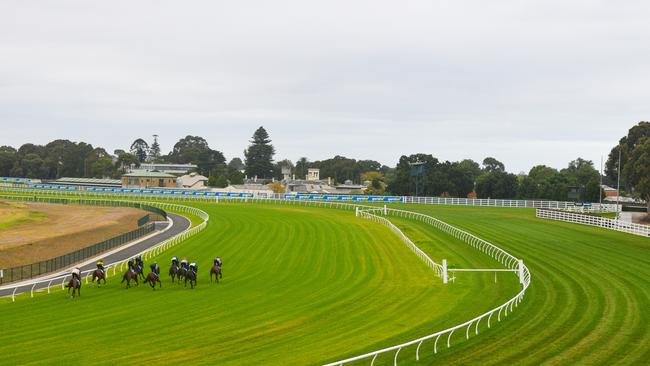 General view of official trials on the new Caulfield Heath track (inside).