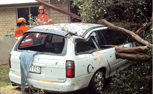 Rain Brings Tree Down On Home, Car | The Courier Mail