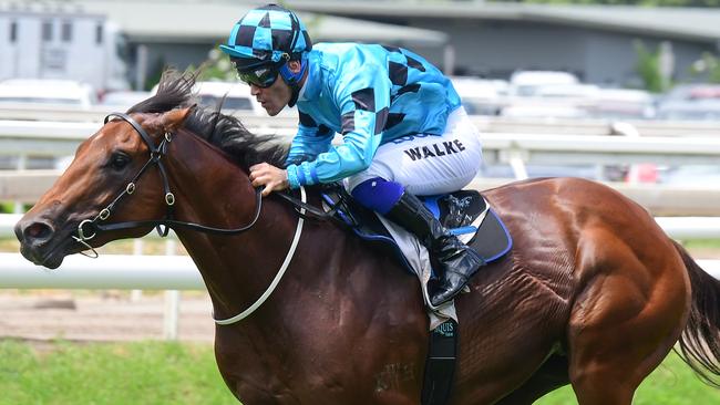 Dubious wins at Eagle Farm. Picture: Trackside Photography