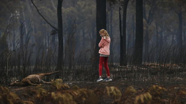 A girl with a dead kangaroo in Mallacoota. Picture: David Caird