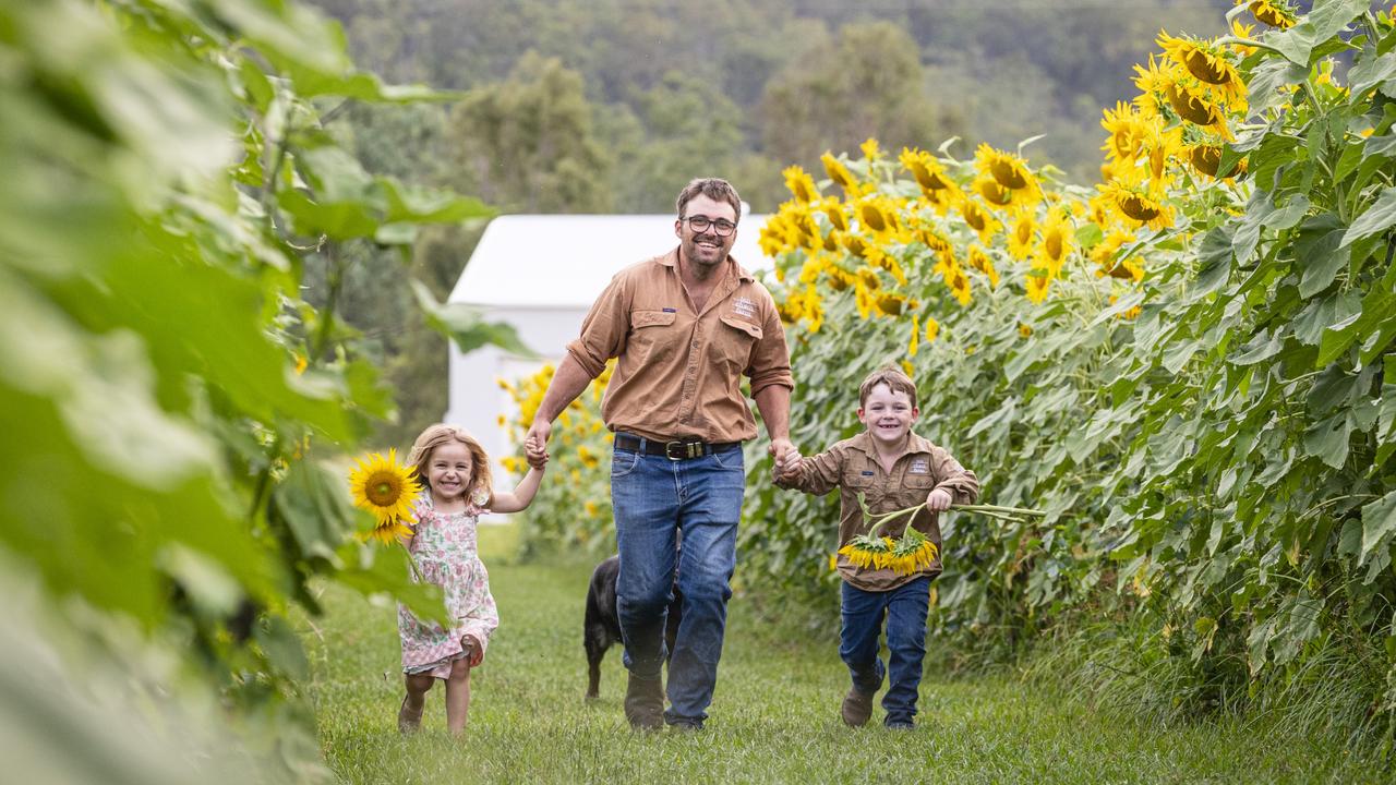 Pat Storey with kids Elsie and Jack as Ten Chain Farm prepare for their sunflower day, Wednesday, February 21, 2024. Picture: Kevin Farmer