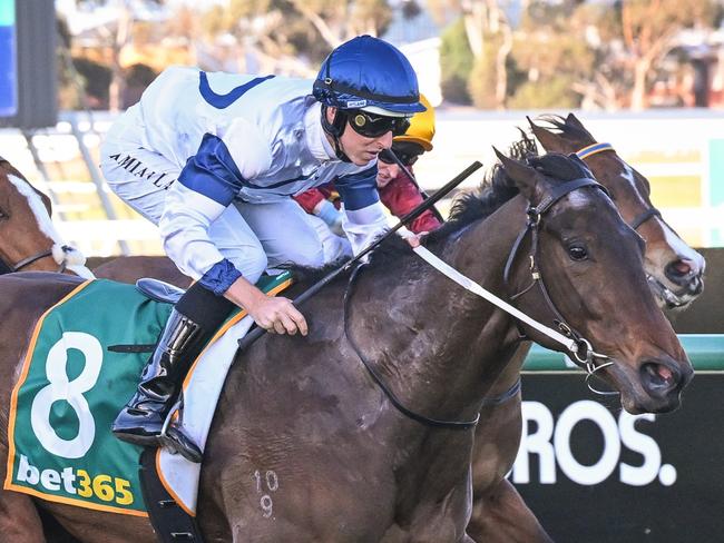 Miss Galore (NZ) ridden by Damian Lane wins the Wilsons Real Estate Handicap at Geelong Racecourse on September 15, 2023 in Geelong, Australia. (Photo by Reg Ryan/Racing Photos via Getty Images)