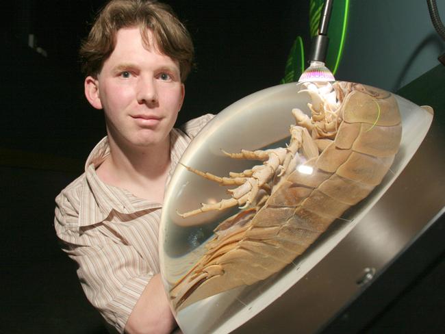 Deep sea photographer Peter Batson with a giant isopod. Picture: Graeme Parkes