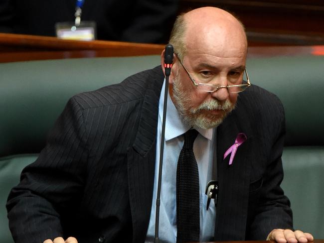 Don Nardella votes in parliament. Picture: Nicole Garmston